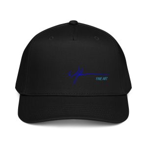 Wilken Fine Art 5 panel cap